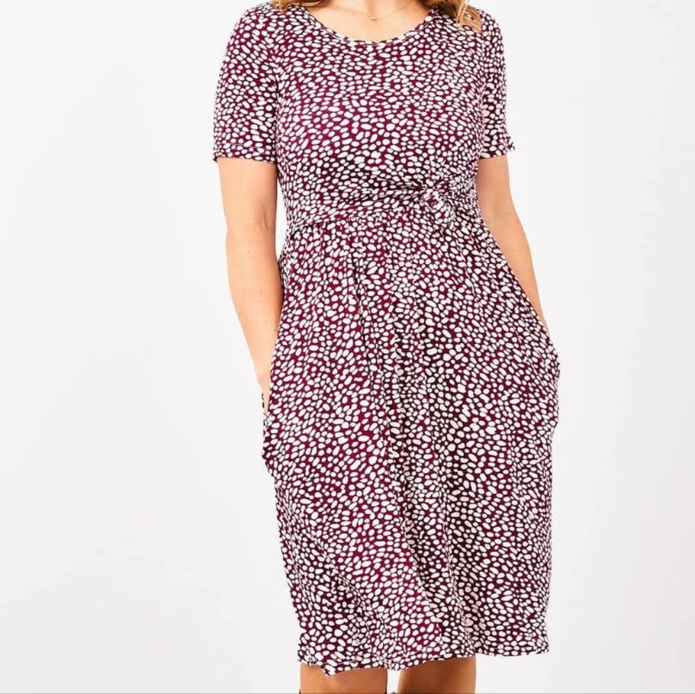 Latched Mama Red and White Fit and Flare Midi Dress